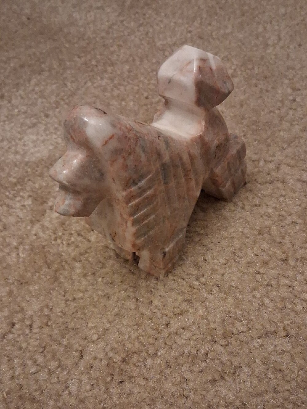 Marble Dog - Picture 4 of 5